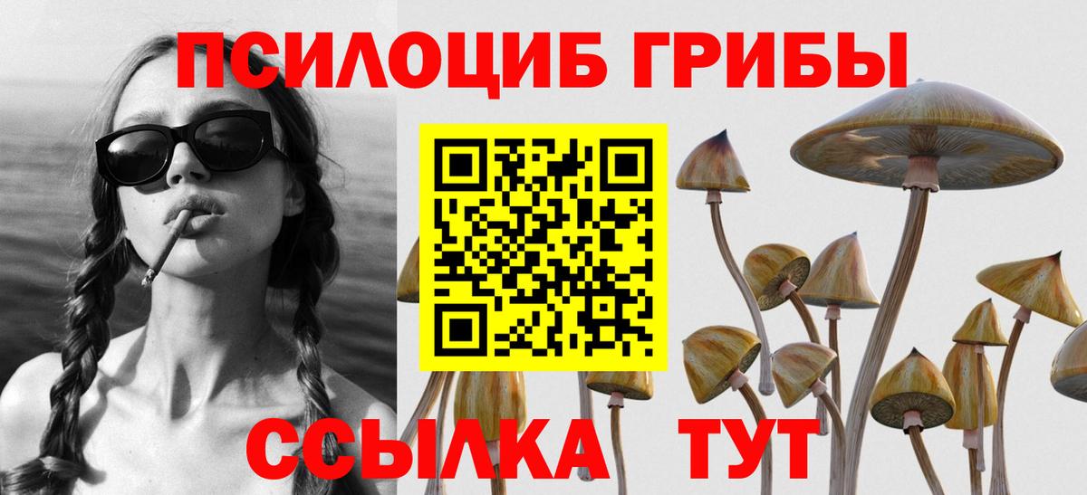 Псилоцибиновые грибы Cubensis  Псилоцибиновые грибы Cubensis  Вход с VPN  Ногинск 